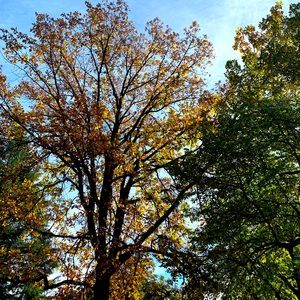 Meet your Posher, Ellie